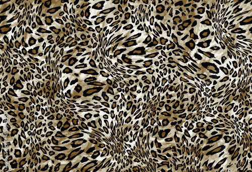 unique animal skin pattern	
