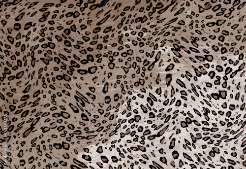 unique animal skin pattern	