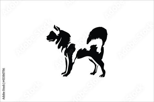 silhouette of a wild dog