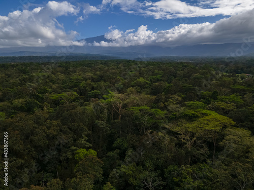 Beautiful aerial view of the tropical rain forest in Costa Rica © Gian