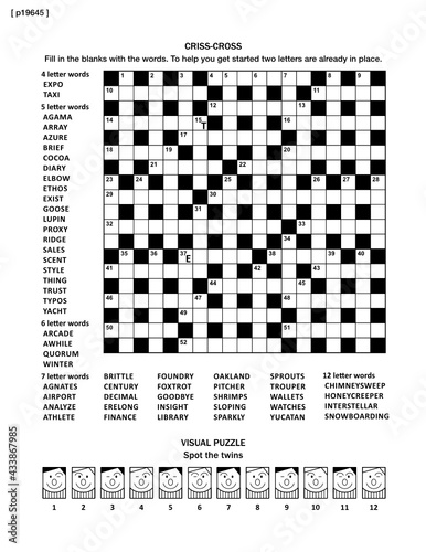 Puzzle page with two puzzles: 19x19 criss-cross word game (English language) and visual puzzle with whimsical faces. Black and white, A4 or letter sized. Answers are on separate file named p19646.
