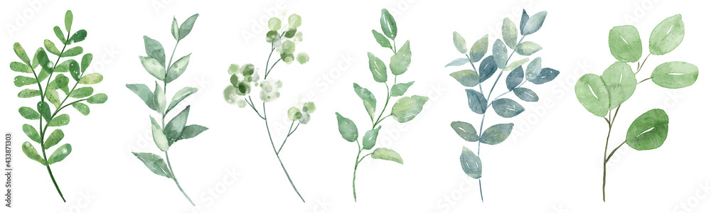 Leaves watercolor set. Hand painting floral illustration. Green leaf, plants, foliage, branches isolated on white background.	