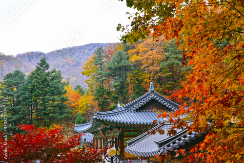오대산의 가을
