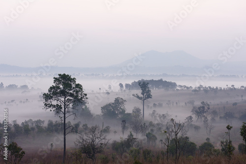 Sunrise in the mountains with white mist on the morning. Tung Salang Luang National Park Phetchabun Province in Thailand.