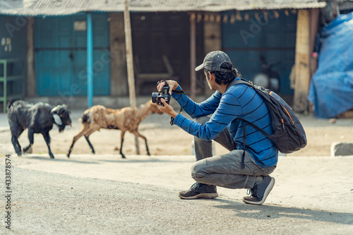 Canvas Print Young photographer taking pictures of animals on the streets of India
