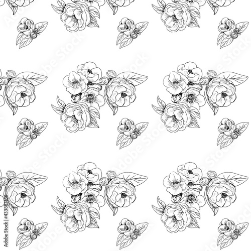 Fototapet Graphic pattern with hand drawn monochrome flowers