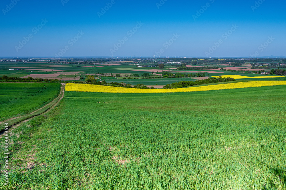 Obraz premium Ackerbau