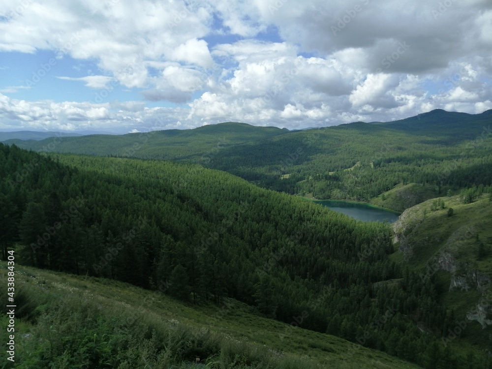 Obraz premium forest in the mountains