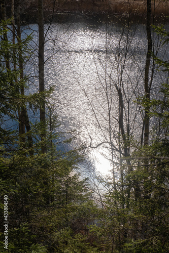 Silvery sun glare on the water of a small forest lake.