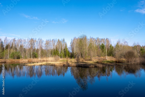 A quiet early morning on a small forest lake with the reflection of trees in the blue water.