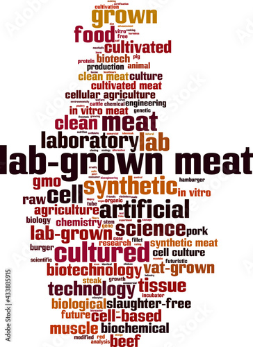 Lab-grown meat word cloud