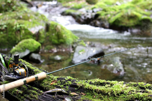 渓流ルアー釣りと清流の緑のイメージ