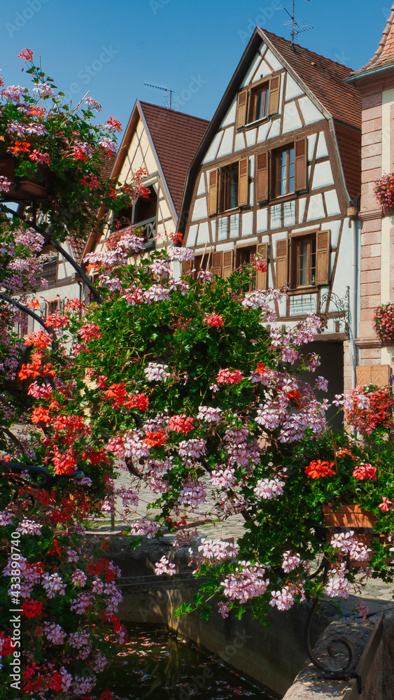 Amazing village in the Alsace province