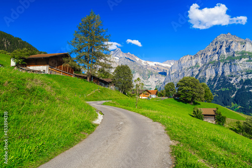 Wooden houses on the hill and snowy mountains, Grindelwald, Switzerland