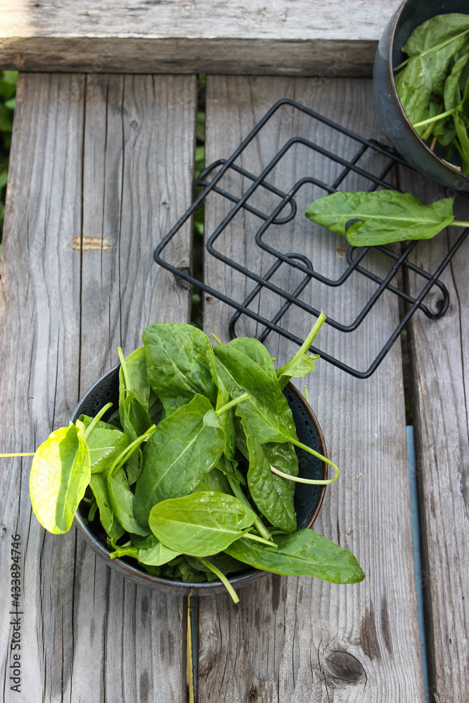 Sorrel in a saucer on a wooden board Sorrel in a saucer on a wooden board