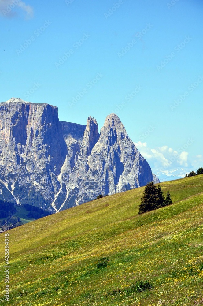Fototapeta premium Seiseralm in den Dolomiten