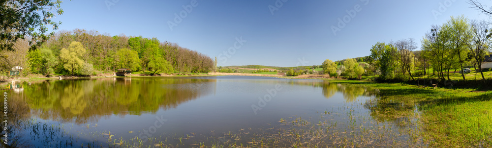 Obraz premium lake in the forest