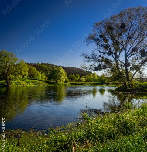 Panorama of green yellow field on the background of blue sky