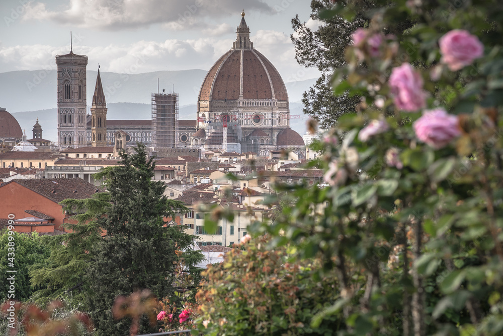 Special view of Florence from the garden of roses during the spring season