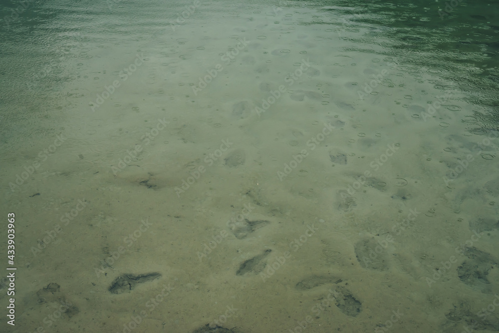 Atmospheric nature background with many footprints on green sandy bottom in clear water of lake with rain circles. Transparent mountain lake. Minimal green backdrop of clear water with rain circles. Atmospheric nature background with many footprints on green sandy bottom in clear water of lake with rain circles. Transparent mountain lake. Minimal green backdrop of clear water with rain circles.