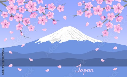 Japanese landscape with blooming sakura flowers branches and mount Fuji