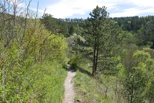 Wanderweg bzw. Pfad im Frühjahr photo