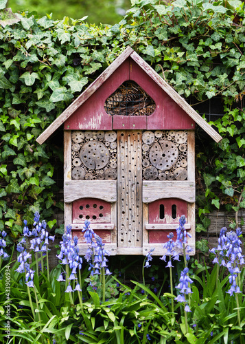 Beautiful old insect or bug hotel hung on an ivy covered wall and blue bluebells flowers in spring country garden. Animal protect concept. © Oksana Schmidt