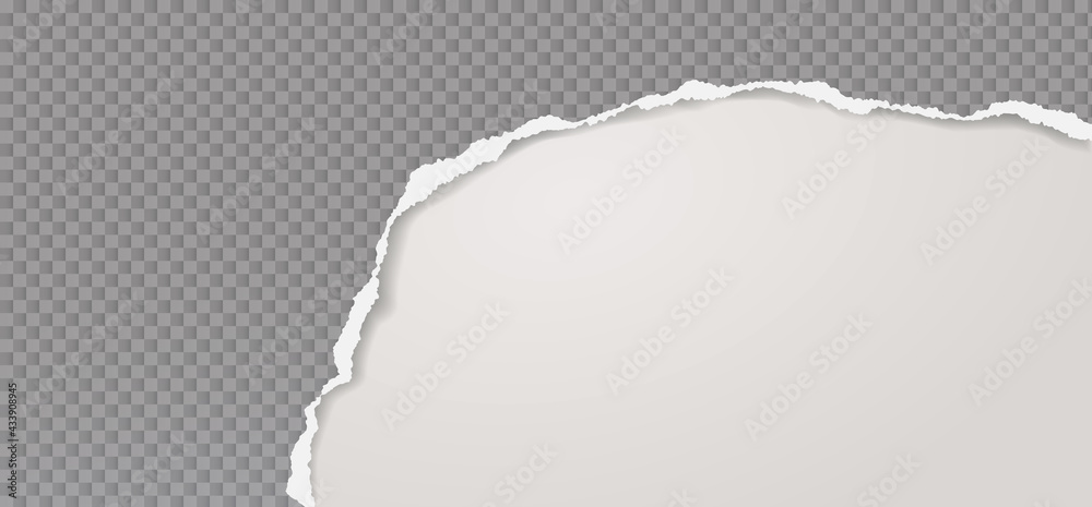 Torn, ripped squared grey paper strip with soft shadow is on white background for text. Vector illustration