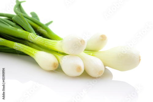 Fresh young onions. Bunch of young onions. Isolated on white background with shadow reflection.