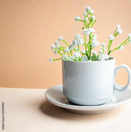 Gypsophila. White cup for coffee or tea. White flowers. Light background.