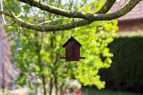 A closeup portrait of a wooden bird feeder house hanging below a walnut tree on a sunny day. The small house is used to put seeds and other bird foods in for birds to find food in winter time and eat. © Joeri