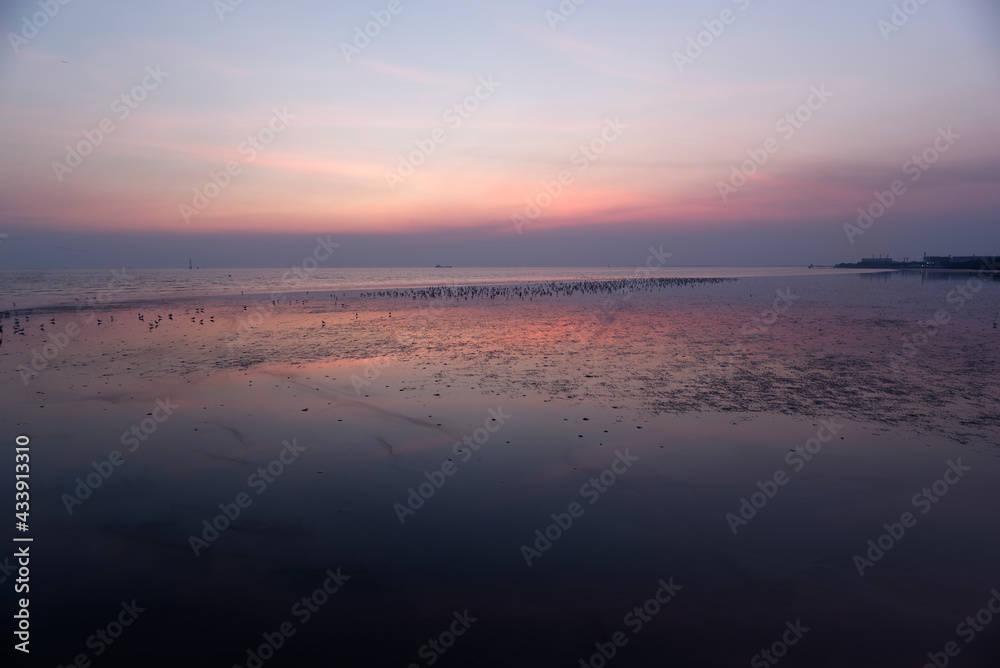 Obraz premium Landscape full of seagull birds around the beach in thailand
