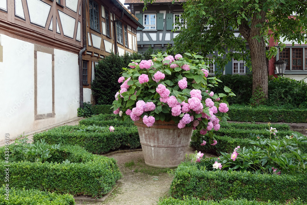 Garten in Bietigheim-Bissingen