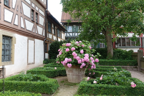 Fototapeta Naklejka Na Ścianę i Meble -  Garten in Bietigheim-Bissingen