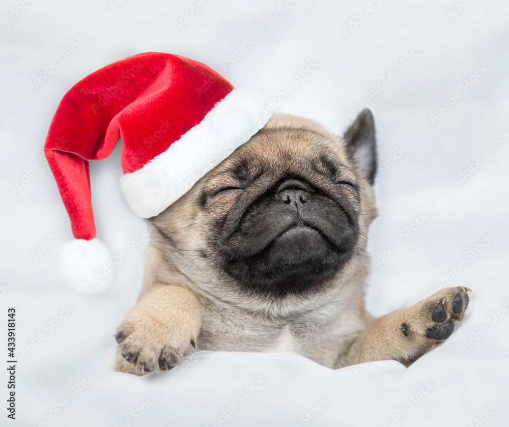Funny Pug puppy wearing red santa hat sleeps under white blanket at home. Top down view