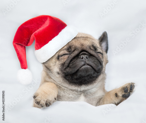 Funny Pug puppy wearing red santa hat sleeps under white blanket at home. Top down view © Ermolaev Alexandr