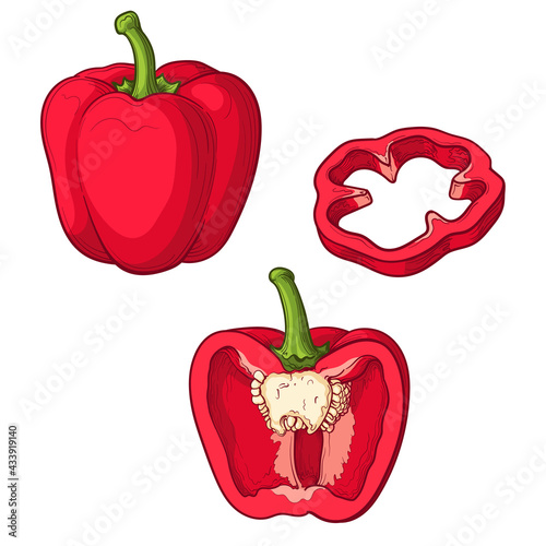 Red pepper, half a pepper and a slice, isolated on a white background. Vector illustration of vegetables in cartoon style.