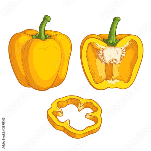 Yellow pepper, half a pepper and a slice, isolated on a white background. Vector illustration of vegetables in cartoon style.