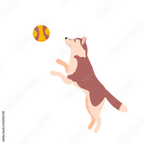 Cute huskies dog playing with ball. Vector illustration isolated on white background