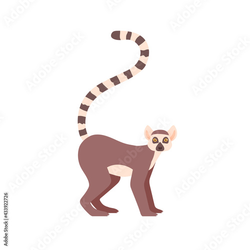 Madagaskar lemur. Vector isolated on white background