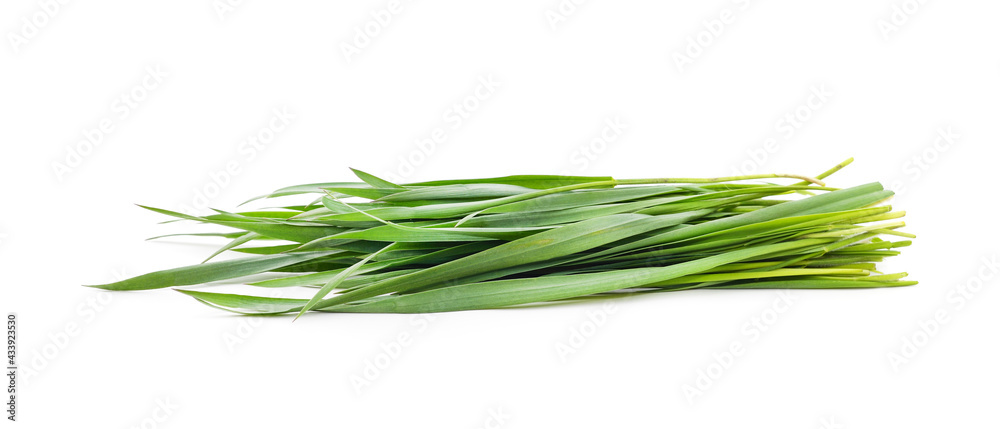 Bunch of green grass. Bunch of green grass.