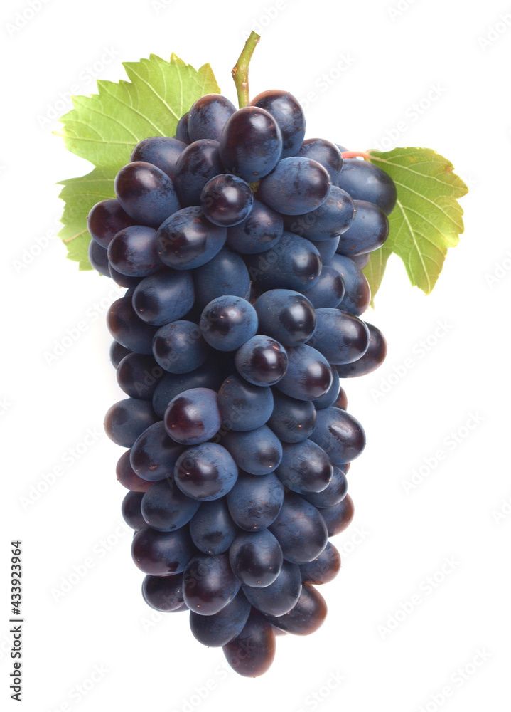 Bunch of grapes on a white background Bunch of grapes on a white background