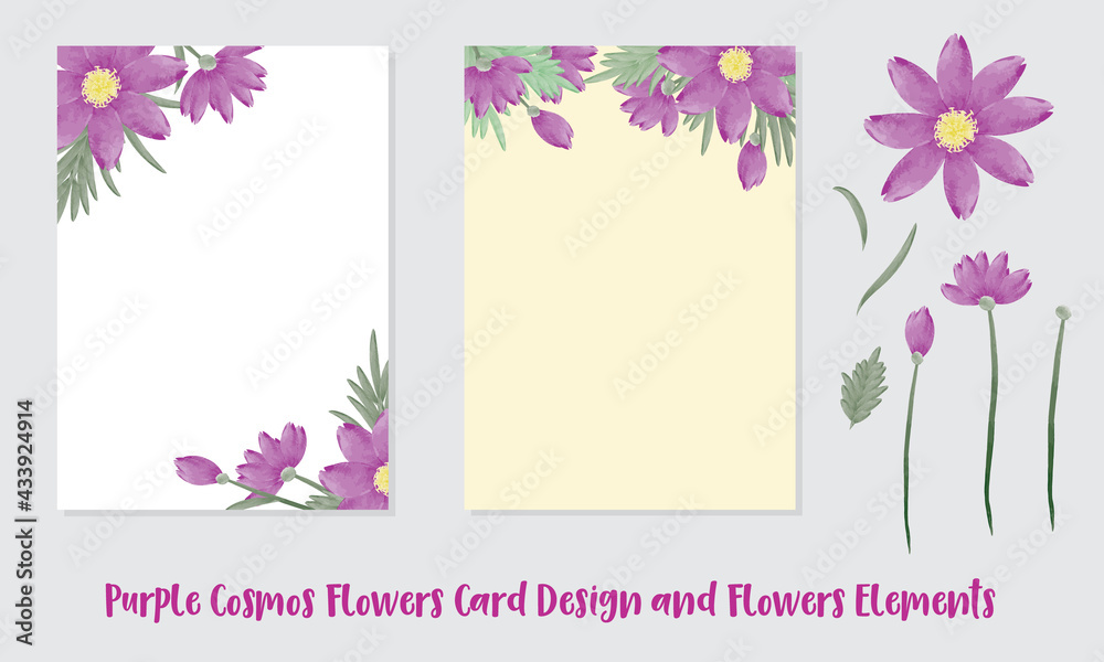 Two Purple Cosmos Flowers cards design and elements set on white