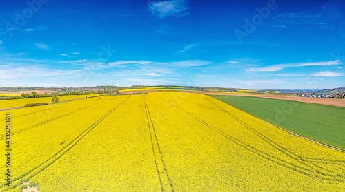 Aerial drone picture of rape field in spring in typical bright yellow color