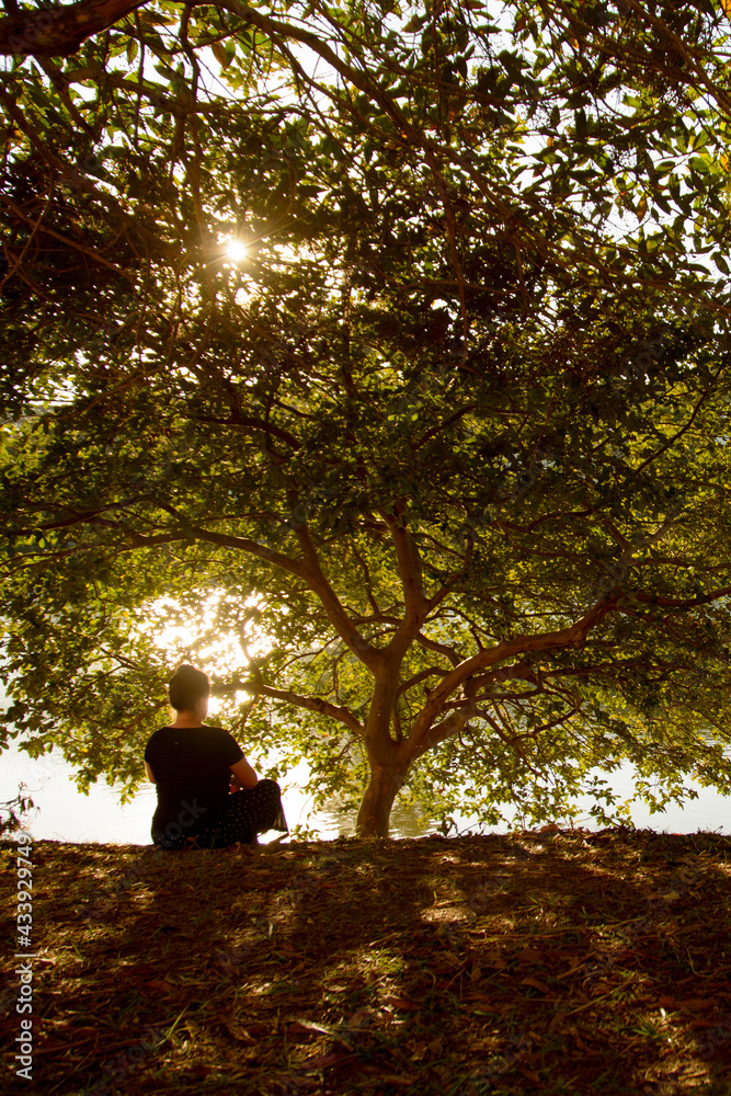 Meditating woman sitting under the shade of a tree in the park on a sunset Meditating woman sitting under the shade of a tree in the park on a sunset