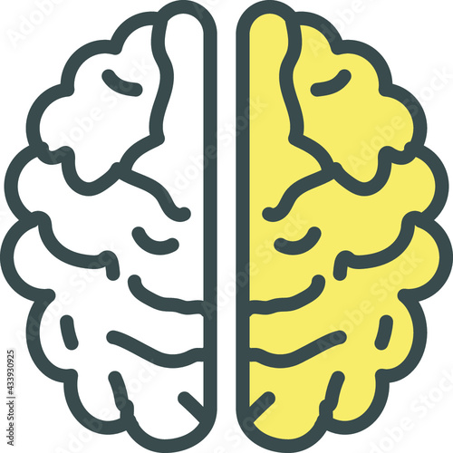 Brain
