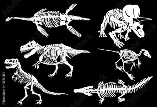 Vector skeletons of dinnosaurs isolated on black background,paleontological illustration
