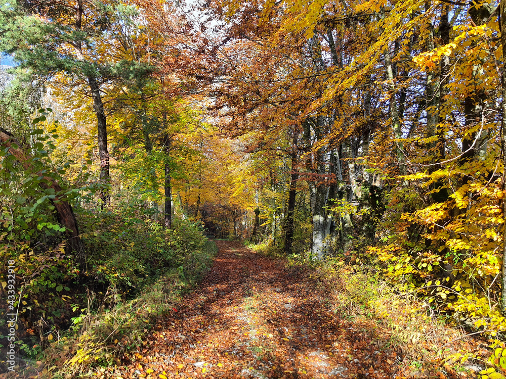 Fototapeta premium Alpes franceses