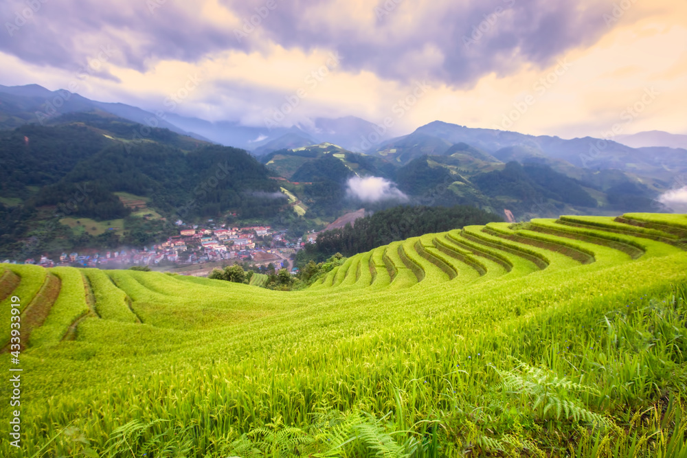 Selective focus Vietnam terraced rice fields, green rice fields The sky has cloud many colours, see the city below.
