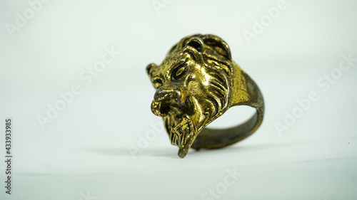 ring in lion icon golden color on white backgroud
